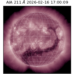 saia - 2026-02-16T17:00:09.626000