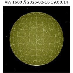 saia - 2026-02-16T19:00:14.131000