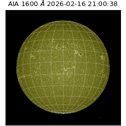 saia - 2026-02-16T21:00:38.125000