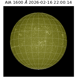 saia - 2026-02-16T22:00:14.118000