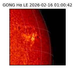 gong - 2026-02-16T01:00:42