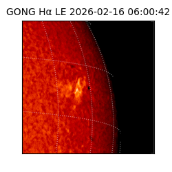 gong - 2026-02-16T06:00:42