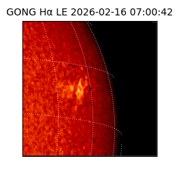 gong - 2026-02-16T07:00:42