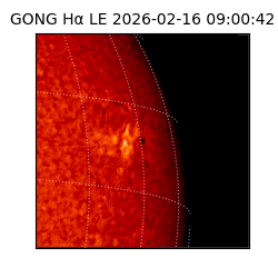 gong - 2026-02-16T09:00:42