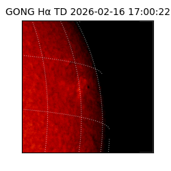 gong - 2026-02-16T17:00:22