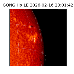 gong - 2026-02-16T23:01:42