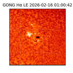 gong - 2026-02-16T01:00:42