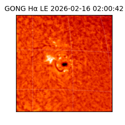 gong - 2026-02-16T02:00:42