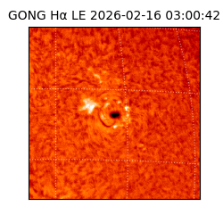 gong - 2026-02-16T03:00:42