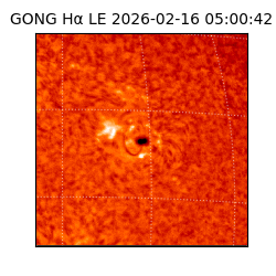 gong - 2026-02-16T05:00:42