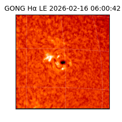 gong - 2026-02-16T06:00:42