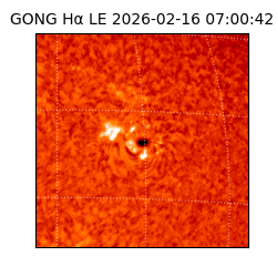 gong - 2026-02-16T07:00:42