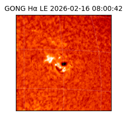 gong - 2026-02-16T08:00:42