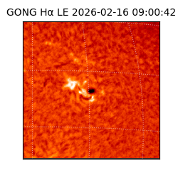 gong - 2026-02-16T09:00:42