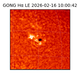 gong - 2026-02-16T10:00:42