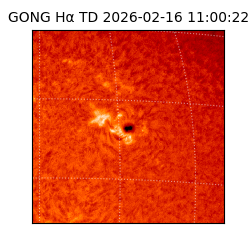 gong - 2026-02-16T11:00:22