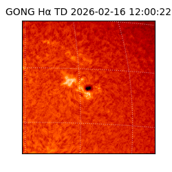 gong - 2026-02-16T12:00:22