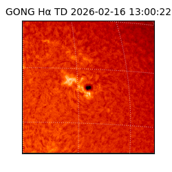 gong - 2026-02-16T13:00:22