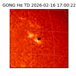 gong - 2026-02-16T17:00:22