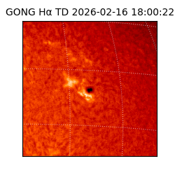 gong - 2026-02-16T18:00:22