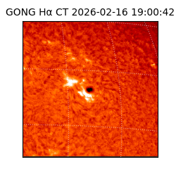 gong - 2026-02-16T19:00:42