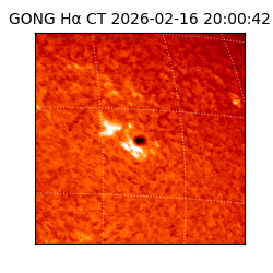 gong - 2026-02-16T20:00:42