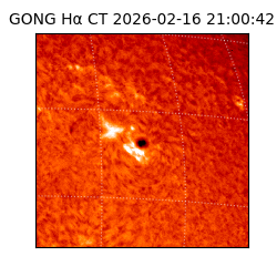 gong - 2026-02-16T21:00:42