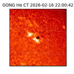 gong - 2026-02-16T22:00:42