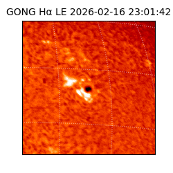 gong - 2026-02-16T23:01:42