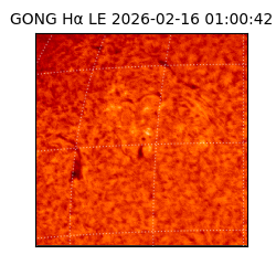 gong - 2026-02-16T01:00:42