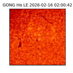 gong - 2026-02-16T02:00:42