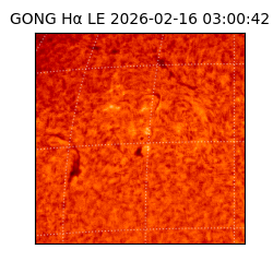 gong - 2026-02-16T03:00:42