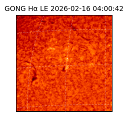 gong - 2026-02-16T04:00:42