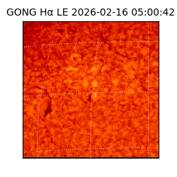 gong - 2026-02-16T05:00:42