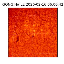 gong - 2026-02-16T06:00:42