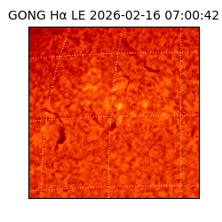 gong - 2026-02-16T07:00:42