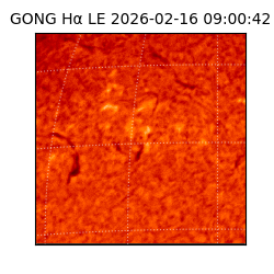 gong - 2026-02-16T09:00:42