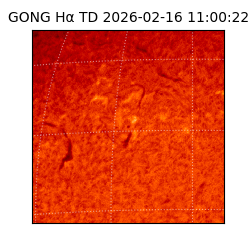 gong - 2026-02-16T11:00:22