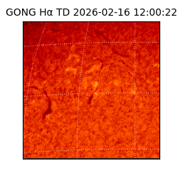 gong - 2026-02-16T12:00:22