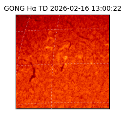 gong - 2026-02-16T13:00:22