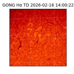 gong - 2026-02-16T14:00:22