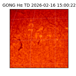 gong - 2026-02-16T15:00:22