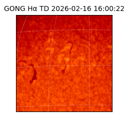 gong - 2026-02-16T16:00:22