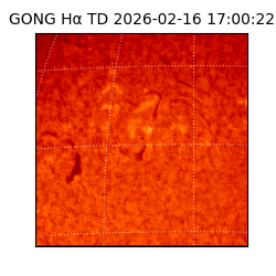 gong - 2026-02-16T17:00:22