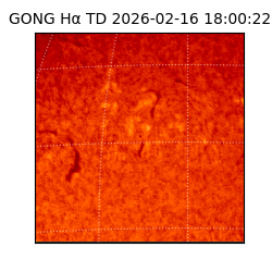 gong - 2026-02-16T18:00:22