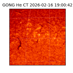 gong - 2026-02-16T19:00:42