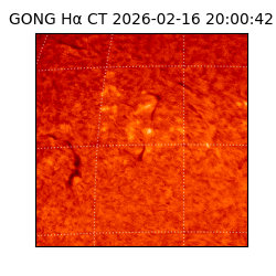 gong - 2026-02-16T20:00:42