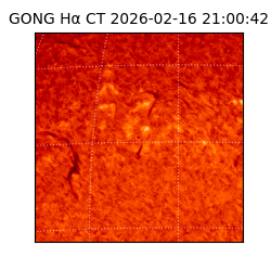 gong - 2026-02-16T21:00:42