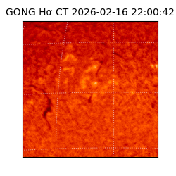 gong - 2026-02-16T22:00:42