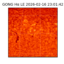 gong - 2026-02-16T23:01:42